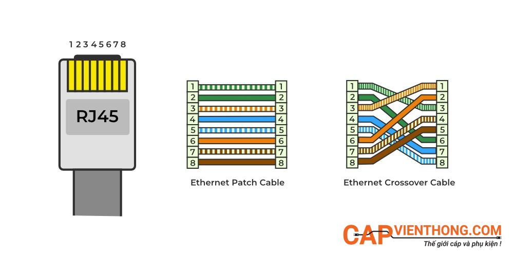 Đầu nối, cổng nối RJ45 là gì và ứng dụng thực tế của cổng RJ45