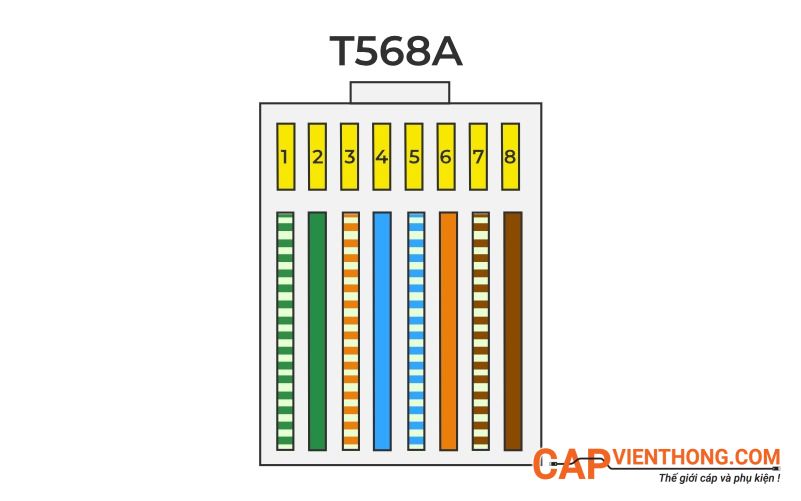 Mã màu T568A chân cắm cáp RJ45