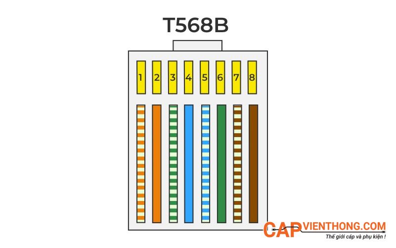 Mã màu T568B chân cắm cáp RJ45