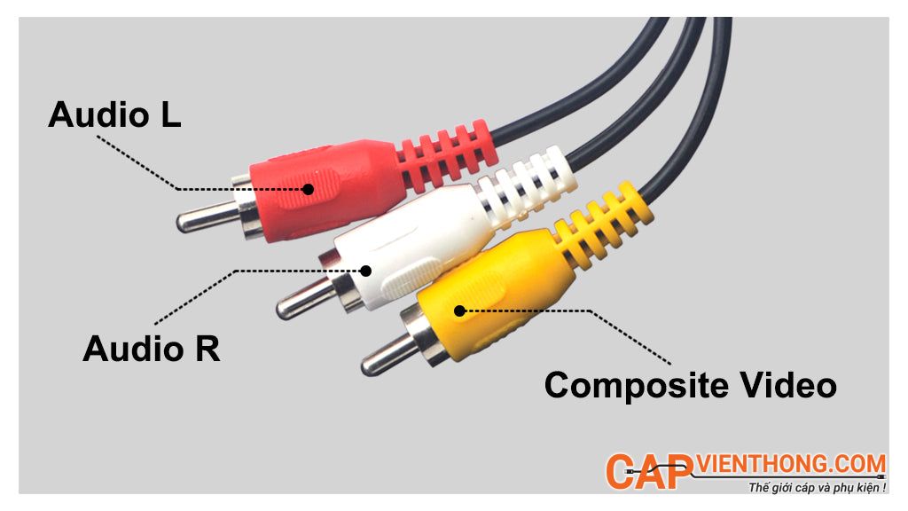 Cáp RCA - Cáp hoa sen là gì và ứng dụng thực tế ở đâu